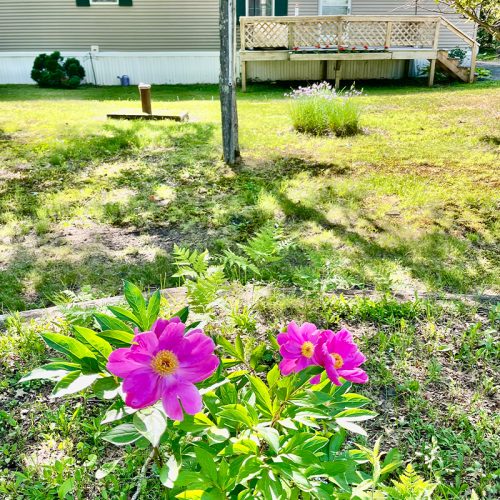 Cabin #2 – County Road E