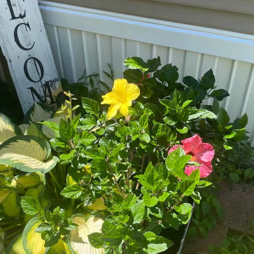 Cabin #2 – County Road E