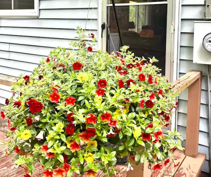 Cabin-Rentals-On-The-Water-#2