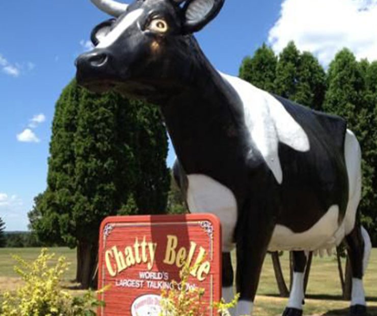 Hatfield Cabin Rentals - Chatty Belle